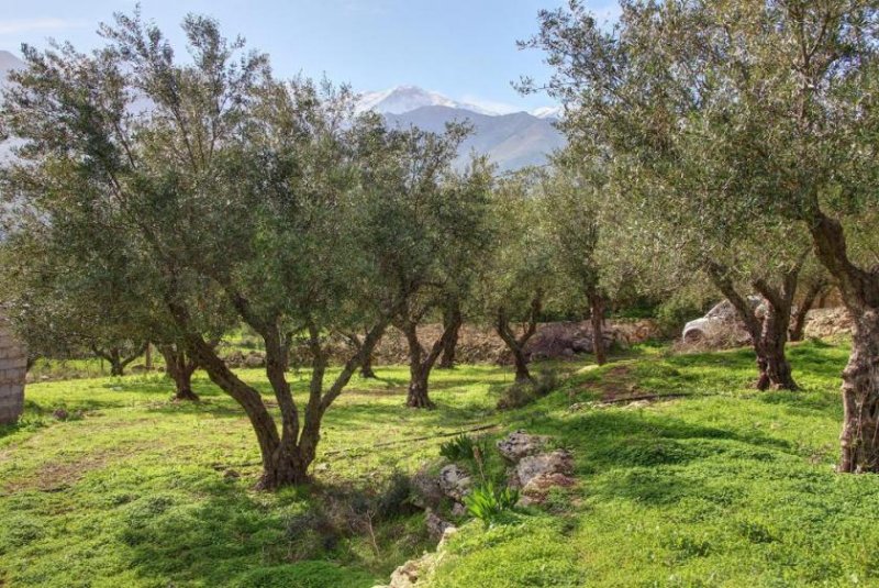 Kaina Kreta, Kaina: Grundstück mit Bergblick und Baugenehmigung zu verkaufen Grundstück kaufen